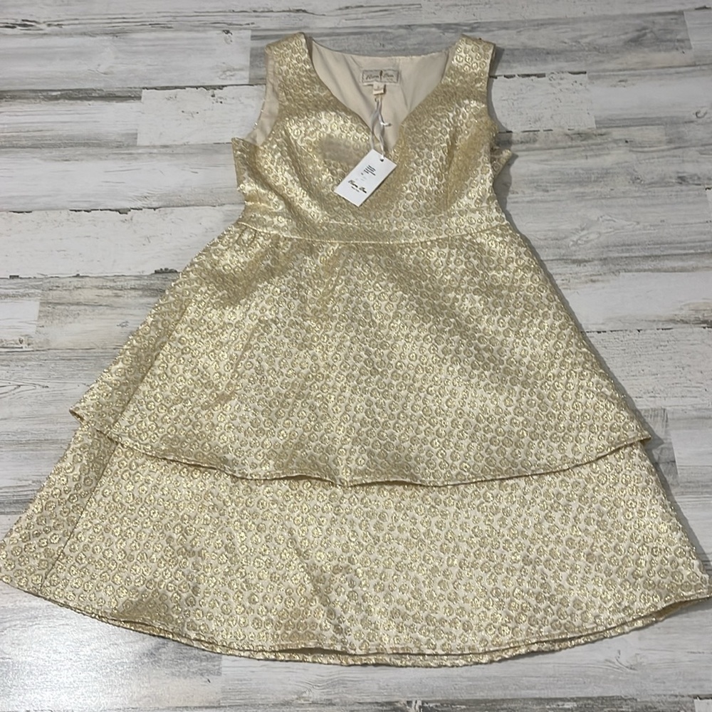 Flora Bea NYC Princess Brocade Terina Dress Size Small NWT - Picture 2 of 11
